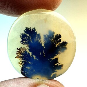 Dendrit Cabochon, Malerische Dendriten Achat Cabochon, Shazar Dendrit Edelstein, Shazar Achat Shazar Achat Cabochon