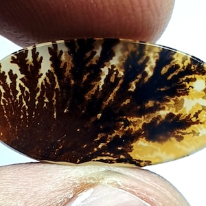Dendritenachat Cabochon, Dendritenachat, Malerischen Dendrit, Shazar Achat Cabochon, Malerischen Dendrit Cabochon, Malerischen Achat
