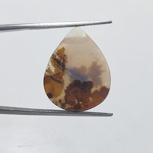 Pietra di design!!! Cabochon di agata dendritica, pietra preziosa sfusa, agata dendritica per realizzare pendenti di gioielli, dimensioni 15 x 11 mm.