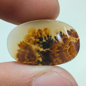 Kamień projektanta!!! Agat dendrytyczny fantazyjny kaboszon, luźny kamień szlachetny, agat dendrytyczny do wyrobu biżuterii Penent rozmiar 22 x 14 MM