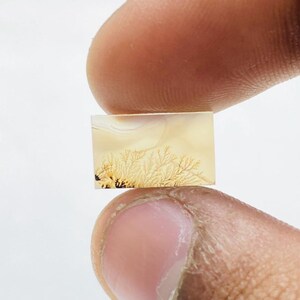 Riesige Größe !!! Dendritenachat Rechteck Cabochon, Lose Edelstein, Dendriten Achat für die Herstellung von Schmuck Pendent Größe 13 x 8 MM