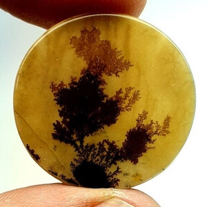 Dendritenachat Cabochon, Dendritenachat, Malerischen Dendrit, Shazar Achat Cabochon, Malerischen Dendrit Cabochon, Malerischen Achat