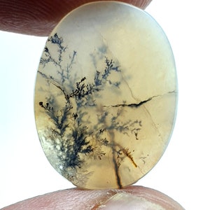 Designerstein !!! Dendritenachat Oval Cabochon, Lose Edelstein, Dendritenachat für die Herstellung von Schmuck Pendent Größe 19x15 MM