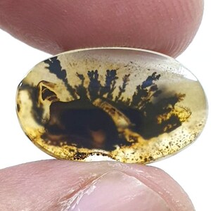 Wunderschöner Designer Dendriten Achat !!! NATÜRLICHER Dendritischer Achat Cabochon, loser Edelstein, 13 x 20 mm Dendritischer Achat zur Herstellung von Schmuckanhängern.
