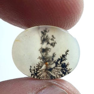 Wunderschöner Designer Dendriten Achat !!!  NATÜRLICHER Dendritischer Achat Cabochon, loser Edelstein, 14 x 16 mm Dendritischer Achat zur Herstellung von Schmuckanhängern.