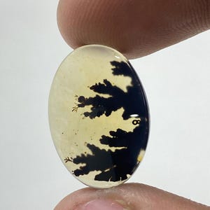 Riesige Größe !!! Dendritenachat Cabochon, lose Edelstein, dendritischen Achat für die Herstellung von Schmuck Pendent Größe 19X12 MM