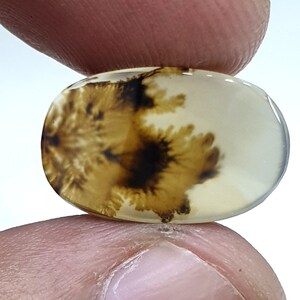 Wunderschöner Designer Dendriten Achat !!! NATÜRLICHER Dendritenachat Cabochon, loser Edelstein, 18 x 11 mm Dendritenachat für die Herstellung von Schmuck Pendent.