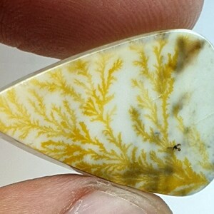 Riesige Größe !!! Dendritenachat Birne Cabochon, Lose Edelstein, Dendritenachat für die Herstellung von Schmuck Pendent Größe 28X18MM