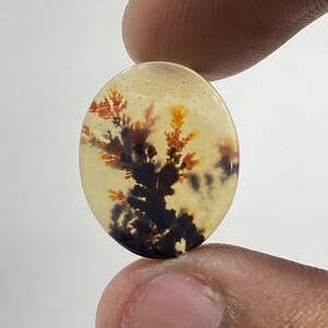 Riesige Größe !!! Dendritenachat Cabochon, Lose Edelstein, Dendritenachat Für die Herstellung von Schmuck Pendent Größe 18x15 MM