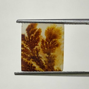 100% Natürlich Landschaftlich Achat !!! Baumachat, Dendritenquarz, Dendritenachat, Malerischer Achat-Edelstein, Dendritenachatstein, Größe 14 x 12 MM