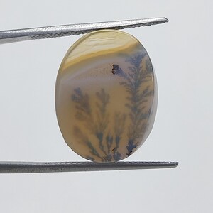 Designerstein !!! Dendritische Achat Phantasie Cabochon, lose Edelstein, dendritische Achat für die Herstellung von Schmuck Pendent Größe 19 x 15 MM