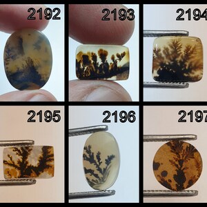 Natürlicher Dendritenachat, Dendritischer Cabochon, Achat-Lose Edelstein, Malerischer Dendritischer Achat, Heilende Eigenschaften, Farbe, Kraftstein