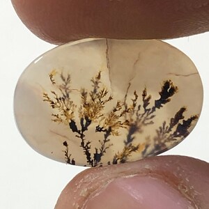 Erstaunlicher Design Achat !!! NATÜRLICHER Dendritischer Achat Oval Cabochon, loser Edelstein, Dendritischer Achat für die Herstellung von Schmuck Pendent.