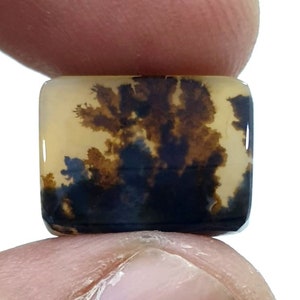 Wunderschöner Designer Dendriten Achat !!! NATÜRLICHER Dendritenachat Cabochon, loser Edelstein, 11 x 15 mm Dendritenachat für die Herstellung von Schmuck Pendent.