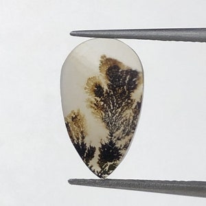 Natürlicher Achat !!! Dendritenachat Cabochon, lose Edelstein, dendritischen Achat für die Herstellung von Schmuck Pendent