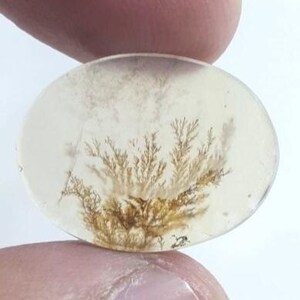 Wunderschöner Designer Dendriten Achat !!! NATÜRLICHER Dendritenachat Cabochon, loser Edelstein, 18 x 24 mm Dendritenachat zur Herstellung von Schmuckanhängern.
