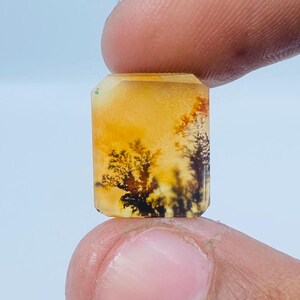 Erstaunlicher Design Achat !!! NATÜRLICHER Dendritischer Achat Rechteck Cabochon, Loser Edelstein, Dendritischer Achat für die Herstellung von Schmuck Pendent.