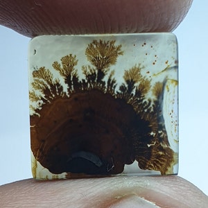 Riesige Größe !!! Dendritenachat Cabochon, Lose Edelstein, Dendritenachat für die Herstellung von Schmuck Pendent Größe 13 x 12 MM