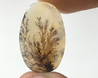 100% Natural Scenic Agate !!! Tree agate , Dendritic quartz, Dendritic agate Scenic Agate Gemstone, Dendritic Agate Stone RING size 20x13 MM