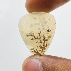Riesige Größe !!! Dendritenachat Birne Cabochon, Lose Edelstein, Dendritenachat für die Herstellung von Schmuck Pendent Größe 25 x 21 MM