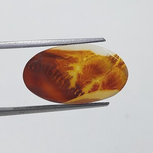 Piedra de diseño. Cabujón de ágata dendrítica, piedra preciosa suelta, ágata dendrítica para hacer colgantes de joyería. Tamaño: 21 x 12 mm.