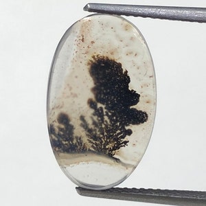 Erstaunlicher Design Achat !!! NATÜRLICHER Dendritischer Achat Oval Cabochon, loser Edelstein, Dendritischer Achat für die Herstellung von Schmuck Pendent.