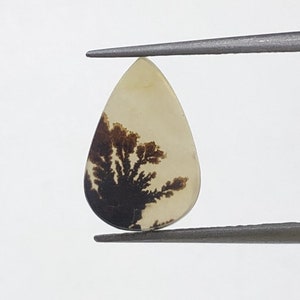 Natürlicher Achat !!! Dendritenachat Cabochon, lose Edelstein, dendritischen Achat für die Herstellung von Schmuck Pendent