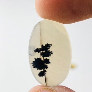 Wunderschöner Designer Dendriten Achat !!! NATÜRLICHER Dendritenachat Cabochon, loser Edelstein, 13x21 mm Dendritenachat für die Herstellung von Schmuck Pendent.