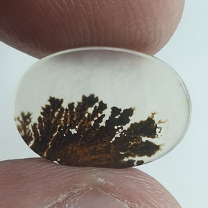 Wunderschöner Designer Dendriten Achat !!! NATÜRLICHER Dendritenachat Cabochon, loser Edelstein, 16 x 11 mm Dendritenachat für die Herstellung von Schmuck Pendent.