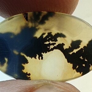 Riesige Größe !!! Dendritenachat Oval Cabochon, Lose Edelstein, Dendritenachat für die Herstellung von Schmuck Pendent Größe 22x13 MM