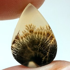 100% Natürlich Landschaftlich Achat !!! Baumachat, Dendritenquarz, Dendritenachat, Malerischer Achat-Edelstein, Dendritenachatstein, Größe 17 x 12 MM