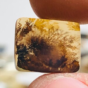 Natürlicher Achat !!! Dendritenachat Birne Cabochon, Lose Edelstein, Dendritenachat 10x12 Größe für die Herstellung von Schmuck Pendent