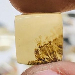 Natürlicher Achat !!! Dendritenachat Birne Cabochon, Lose Edelstein, Dendritenachat 10X11 Größe für die Herstellung von Schmuck Pendent