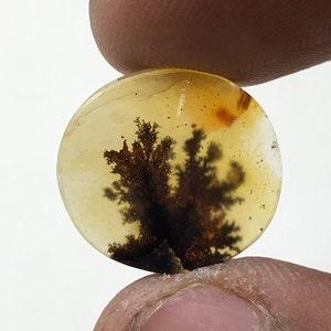 Erstaunlicher Design Achat !!! NATÜRLICHER Dendritischer Achat Oval Cabochon, loser Edelstein, Dendritischer Achat für die Herstellung von Schmuck Pendent.