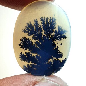 Traumhaft !!! Dendritische Achat Cabochon, Dendritische Lose Edelstein, Dendritische Achat, Achat Für die Herstellung von Schmuck Pendent