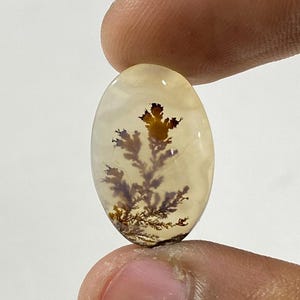 Riesige Größe !!! Dendritenachat Cabochon, lose Edelstein, dendritische Achat für die Herstellung von Schmuck Pendent Größe 20X13 MM