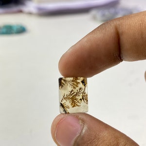 Riesige Größe !!! Dendritenachat Cabochon, lose Edelstein, dendritische Achat für die Herstellung von Schmuck Pendent Größe 11X14 MM