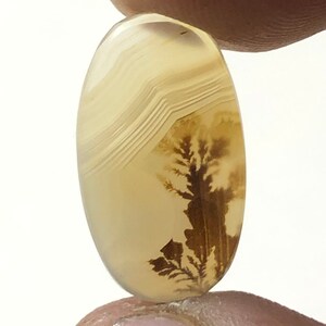 Erstaunlicher Design Achat !!! NATÜRLICHER Dendritischer Achat Oval Cabochon, loser Edelstein, Dendritischer Achat für die Herstellung von Schmuck Pendent.