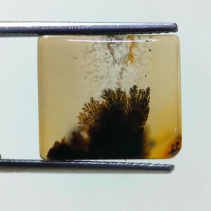 Designerstein !!! Dendritische Achat Phantasie Cabochon, lose Edelstein, dendritische Achat für die Herstellung von Schmuck Pendent Größe 14 x 12 MM
