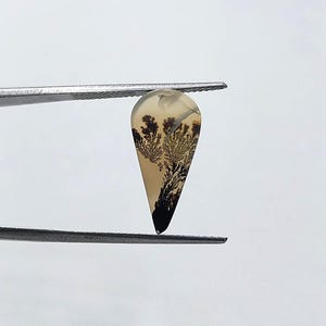 Designerstein !!! Dendritische Achat Phantasie Cabochon, lose Edelstein, dendritische Achat für die Herstellung von Schmuck Pendent Größe 19 x 9 MM