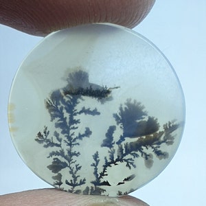 Riesige Größe !!! Dendritenachat Cabochon, Lose Edelstein, Dendritenachat Für die Herstellung von Schmuck Pendent Größe 19x19 MM