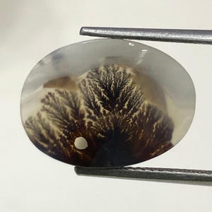 100% Natürlich Landschaftlich Achat !!! Baumachat, Dendritenquarz, Dendritenachat, Malerischer Achat-Edelstein, Dendritenachatstein, Größe 16 x 12 mm