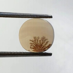 Wunderschöner Designer Dendriten Achat !!!  NATÜRLICHER Dendritischer Achat Cabochon, loser Edelstein, 9x9 MM Dendritischer Achat für die Herstellung von Schmuck Pendent.