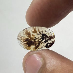 Riesige Größe !!! Dendritenachat Cabochon, lose Edelstein, dendritische Achat für die Herstellung von Schmuck Pendent Größe 15X10 MM