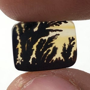 Erstaunlicher Design Achat !!! NATÜRLICHER Dendritischer Achat Oval Cabochon, loser Edelstein, Dendritischer Achat für die Herstellung von Schmuck Pendent.