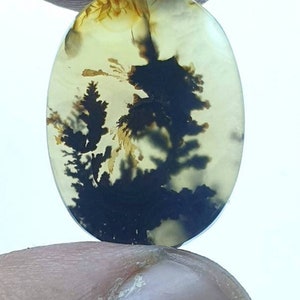 Riesige Größe !!! Dendritenachat Oval Cabochon, Lose Edelstein, Dendritenachat für die Herstellung von Schmuck Pendent Größe 20x15 MM