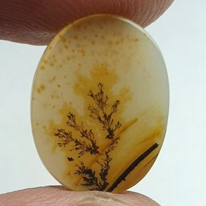Riesige Größe !!! Dendritenachat Oval Cabochon, Lose Edelstein, Dendritenachat für die Herstellung von Schmuck Pendent Größe 15 x 12 MM