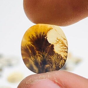 Natürlicher Achat !!! Dendritenachat Birne Cabochon, Lose Edelstein, Dendritenachat 12X11 Größe für die Herstellung von Schmuck Pendent