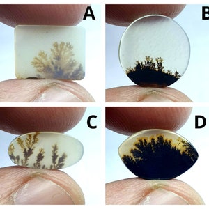 NATURAL Dendritic Achat Cabochon, Größe 20x12 T bis 10x12 ca. Lockerer Edelstein, Dendritischer Achat zur Schmuckherstellung In der Größe Pendent.