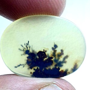 Riesige Größe 22X16 mm !!! NATÜRLICHER Dendritenachat Cabochon, loser Edelstein, Dendritenachat für die Herstellung von Schmuck Pendent Größe.